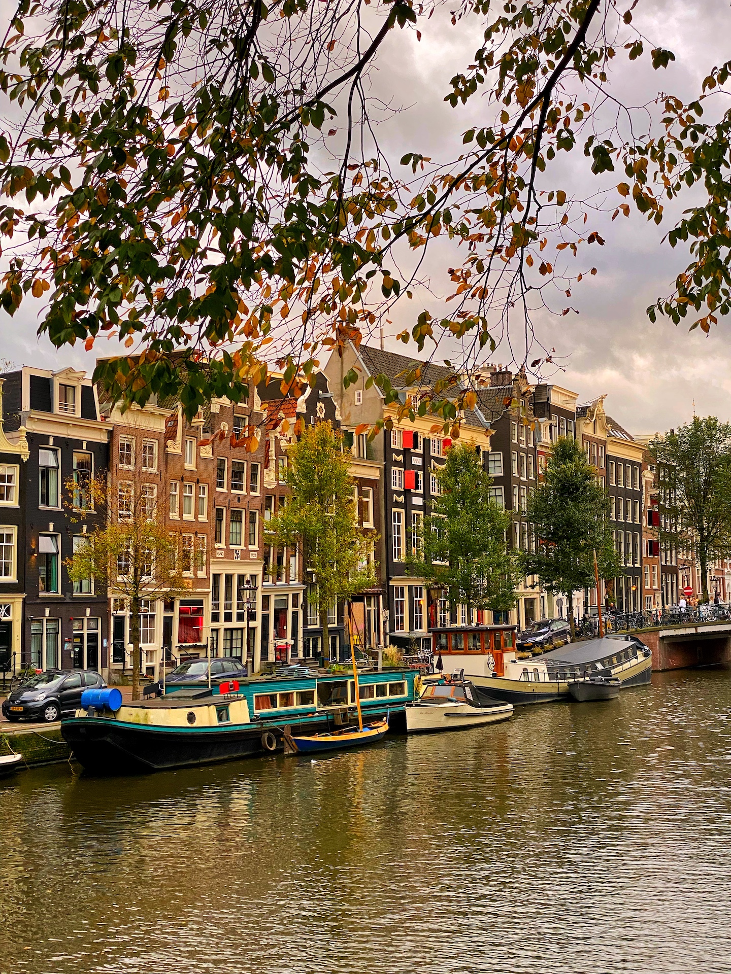 25 top things to see and do in Amsterdam - Roam with Rakhee
