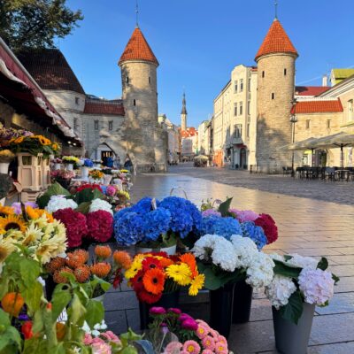 Top things to see and do in Tallinn, Estonia